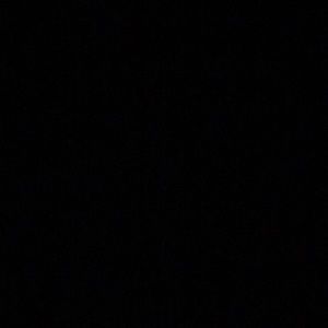 Meet your Posher, Donny